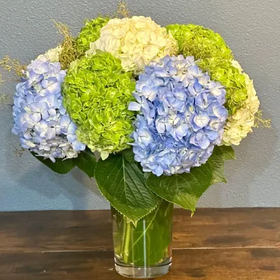 Mixed Hydrangea Bouquet (image for) Mixed Hydrangea Bouquet