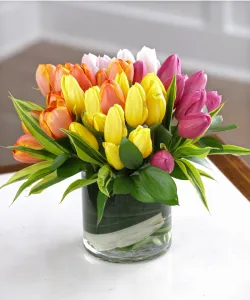 A Mixed Tulip Rainbow Bouquet - 40 Tulips
