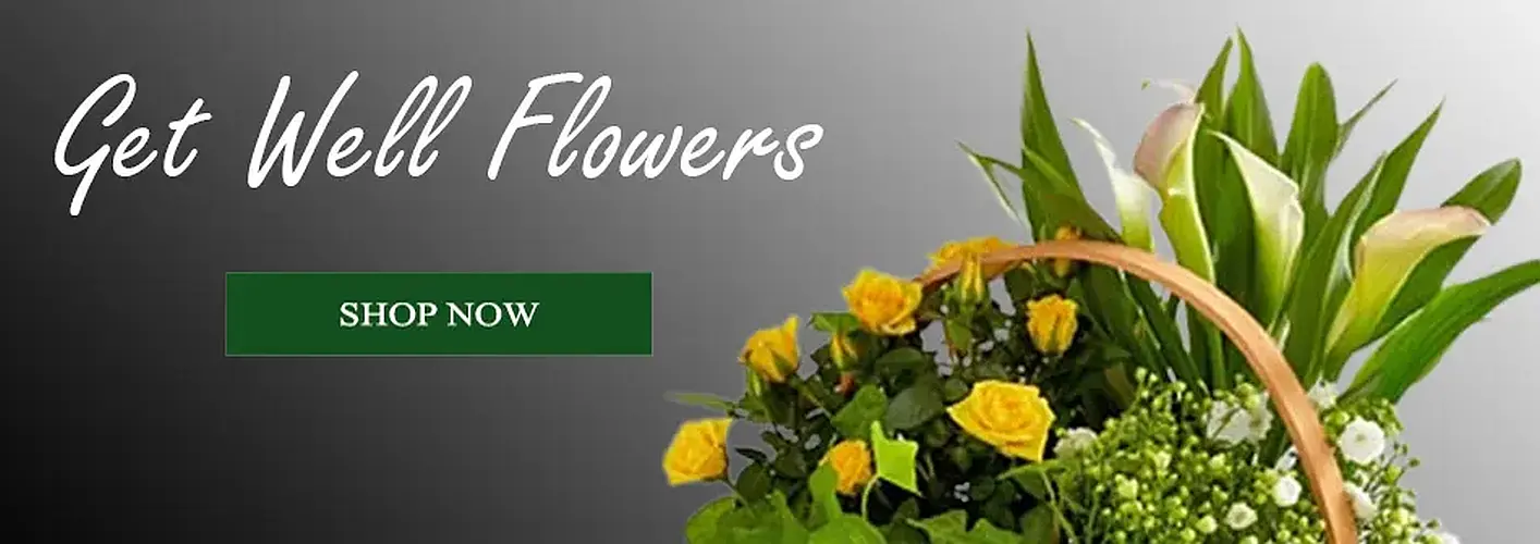 Get well Flowers (image for) Get well Flowers
