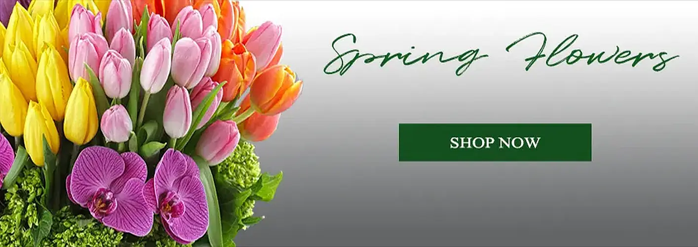 Spring (image for) Spring